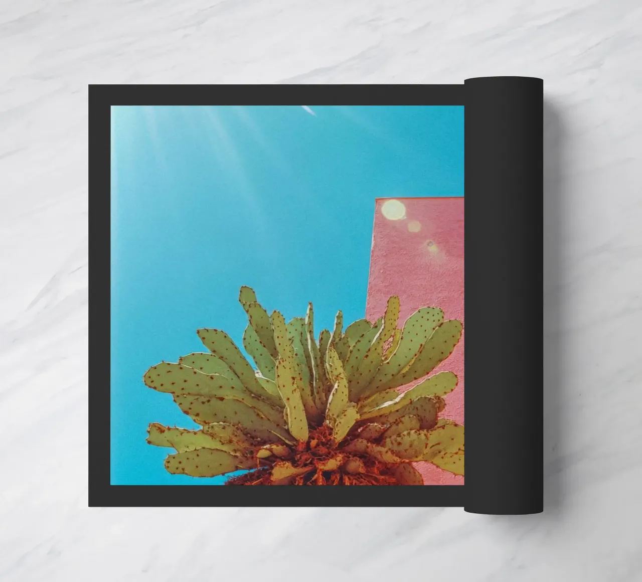 67 zerbino da Pink California | Affiches & Posters