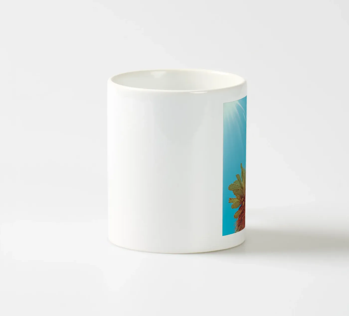 67 mug en céramique de Pink California | Affiches & Posters