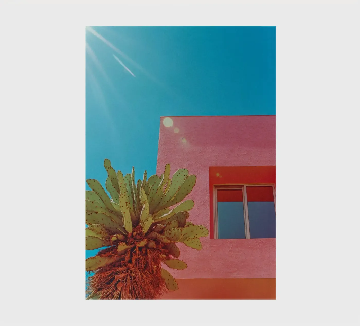 67 notebook by Pink California | Affiches & Posters