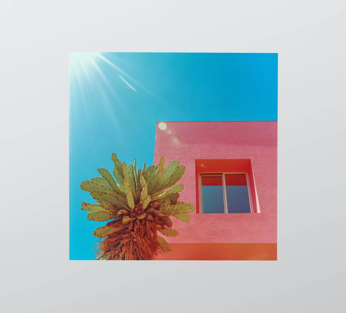 67 sticker van Pink California | Affiches & Posters