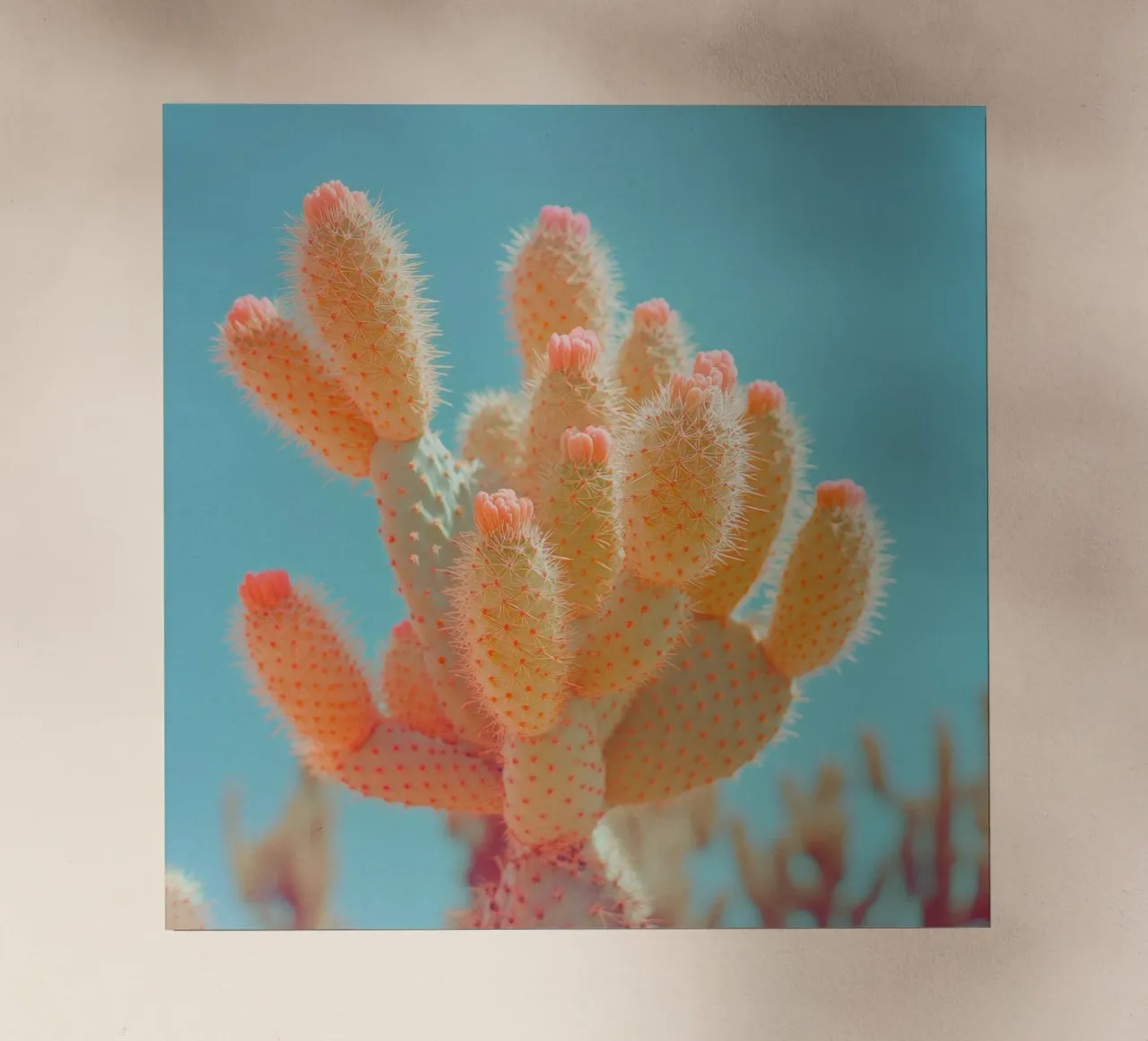 68 pellicola backlit da Pink California | Affiches & Posters