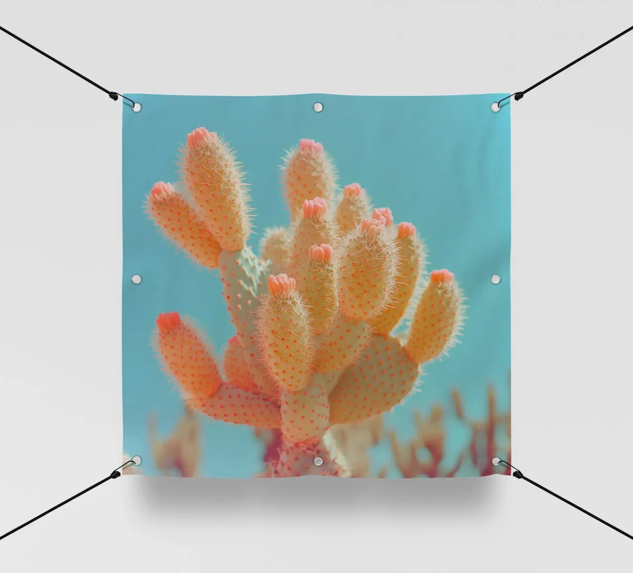 68 pvc cover by Pink California | Affiches & Posters