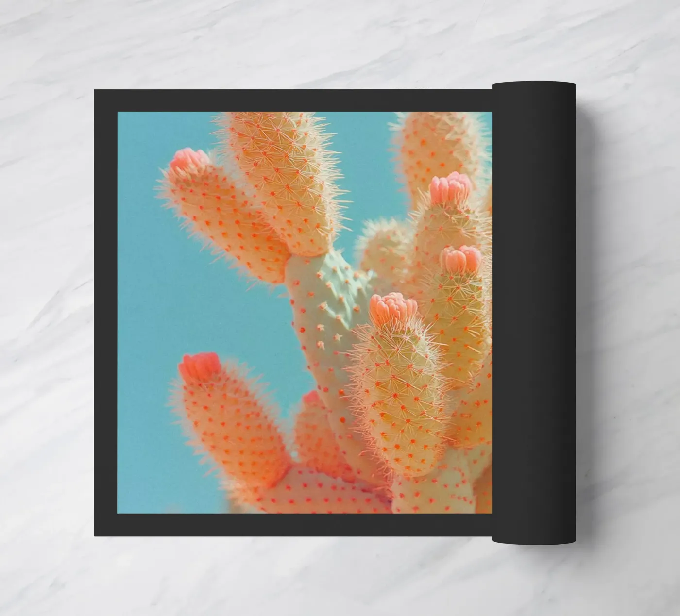 68 zerbino da Pink California | Affiches & Posters