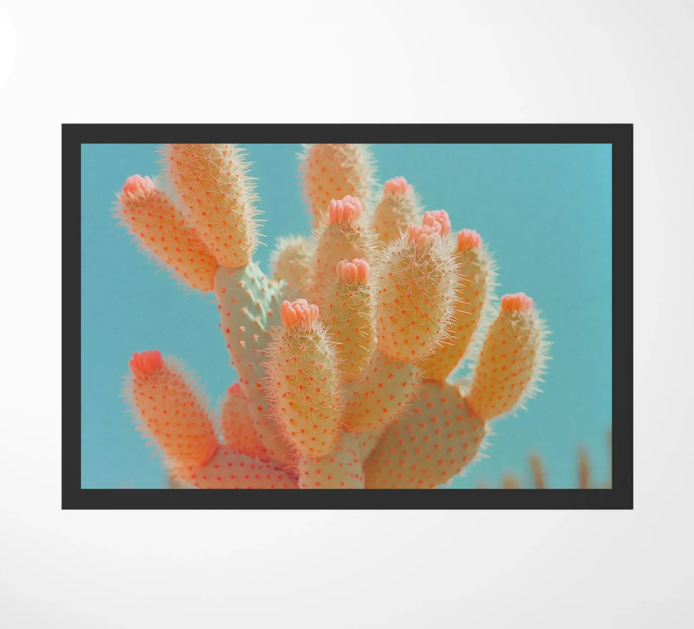 68 doormat by Pink California | Affiches & Posters