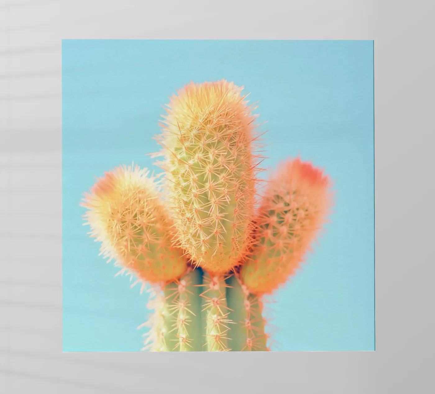 69 pellicola backlit da Pink California | Affiches & Posters