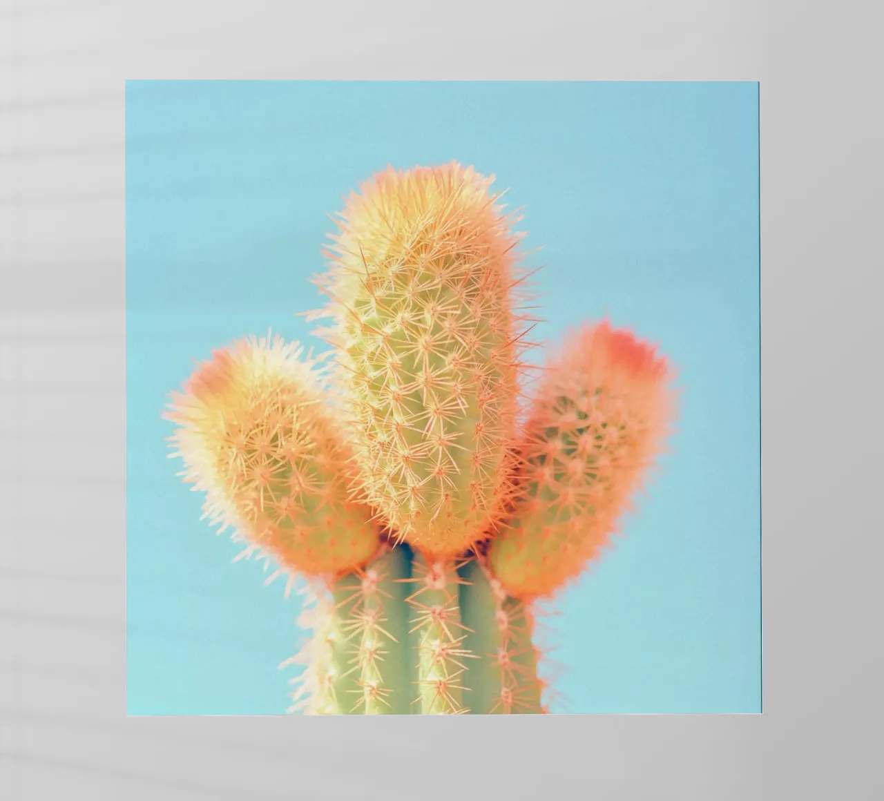 69 pellicola backlit da Pink California | Affiches & Posters