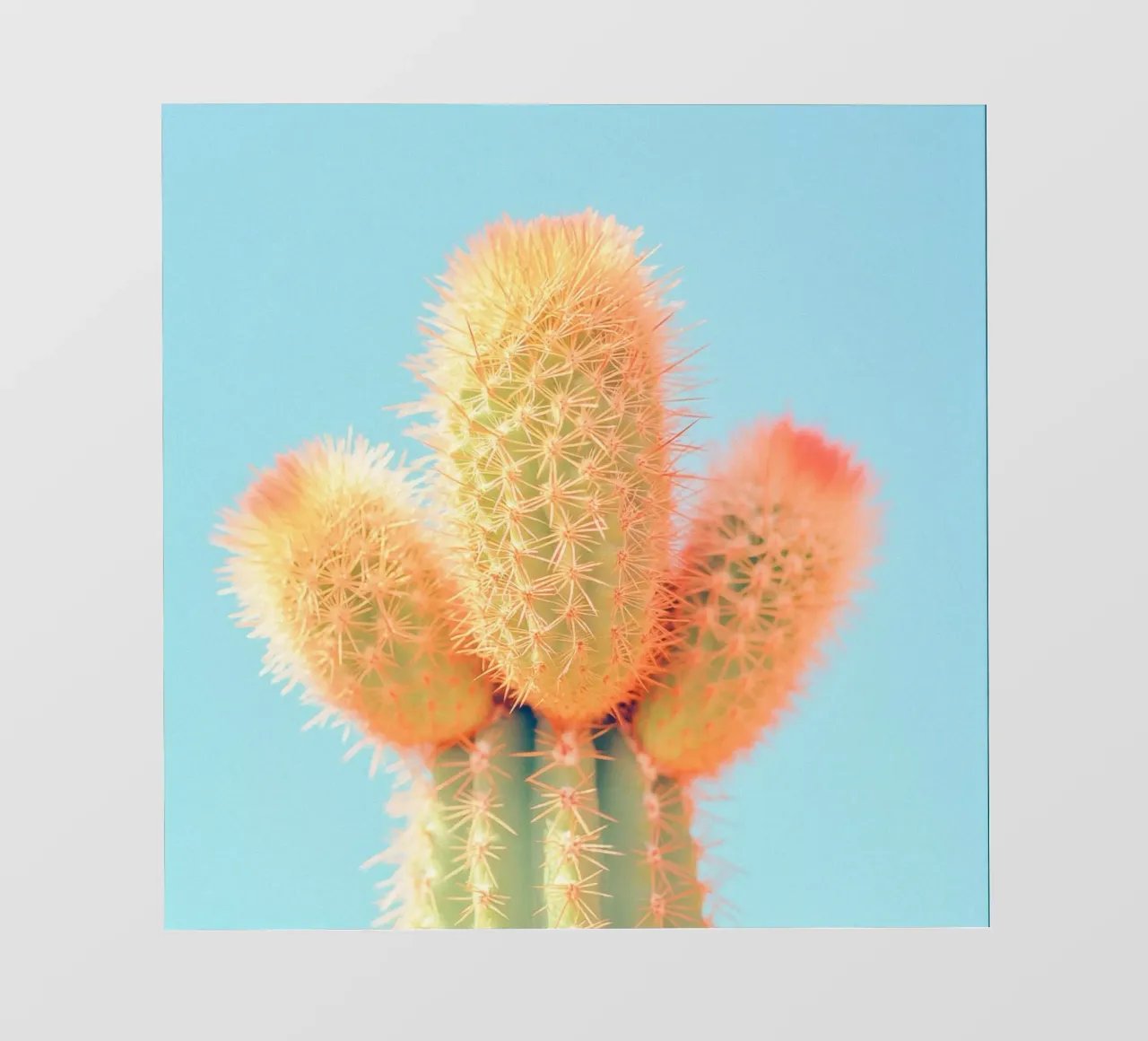 69 fotobehang van Pink California | Affiches & Posters