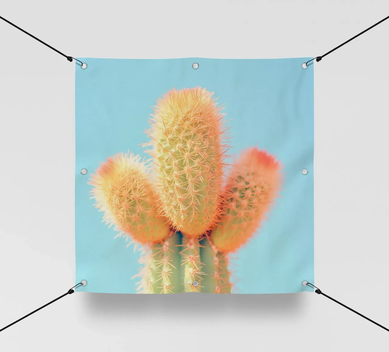 69 telo in pvc da Pink California | Affiches & Posters