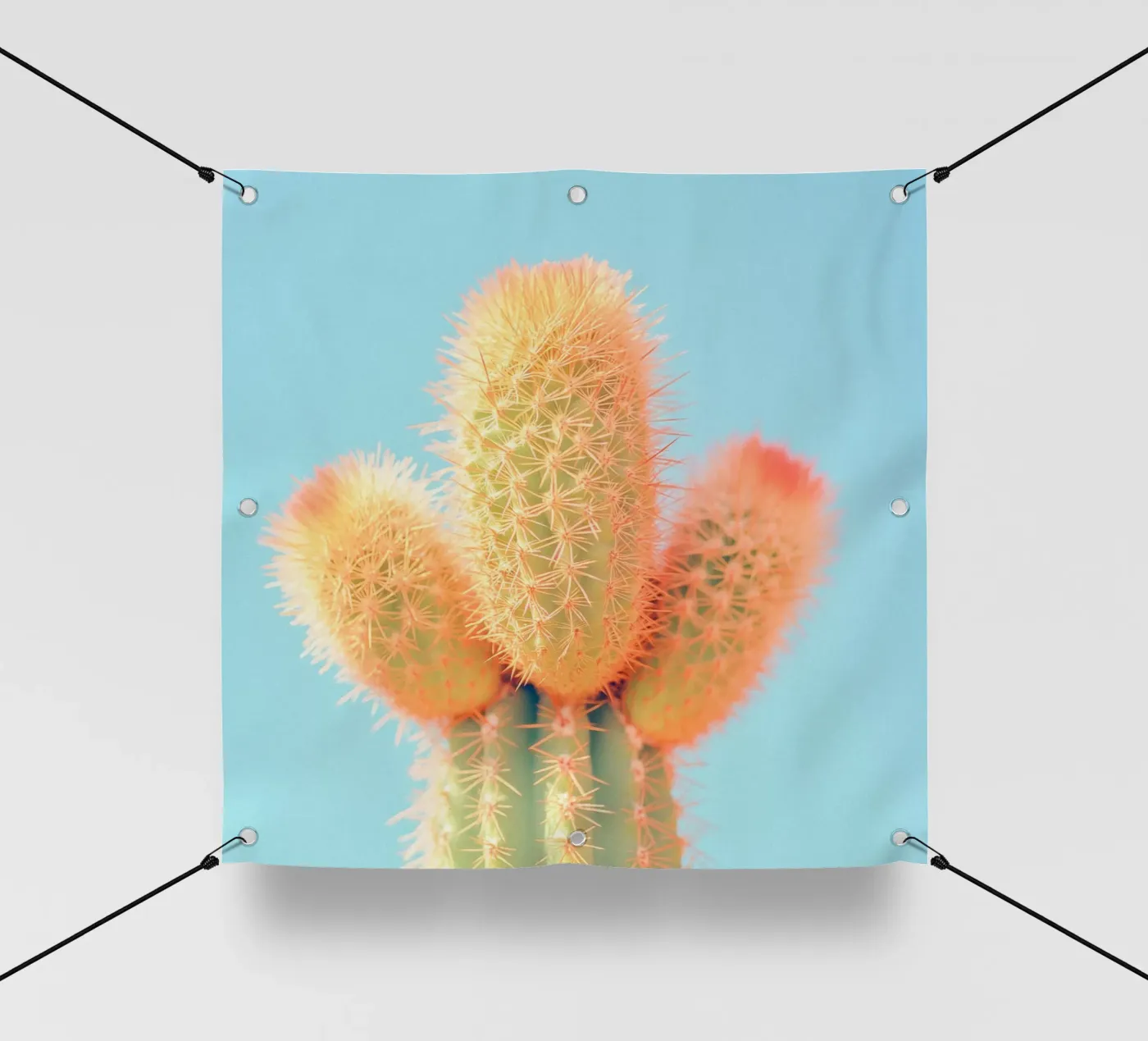 69 telo in pvc da Pink California | Affiches & Posters