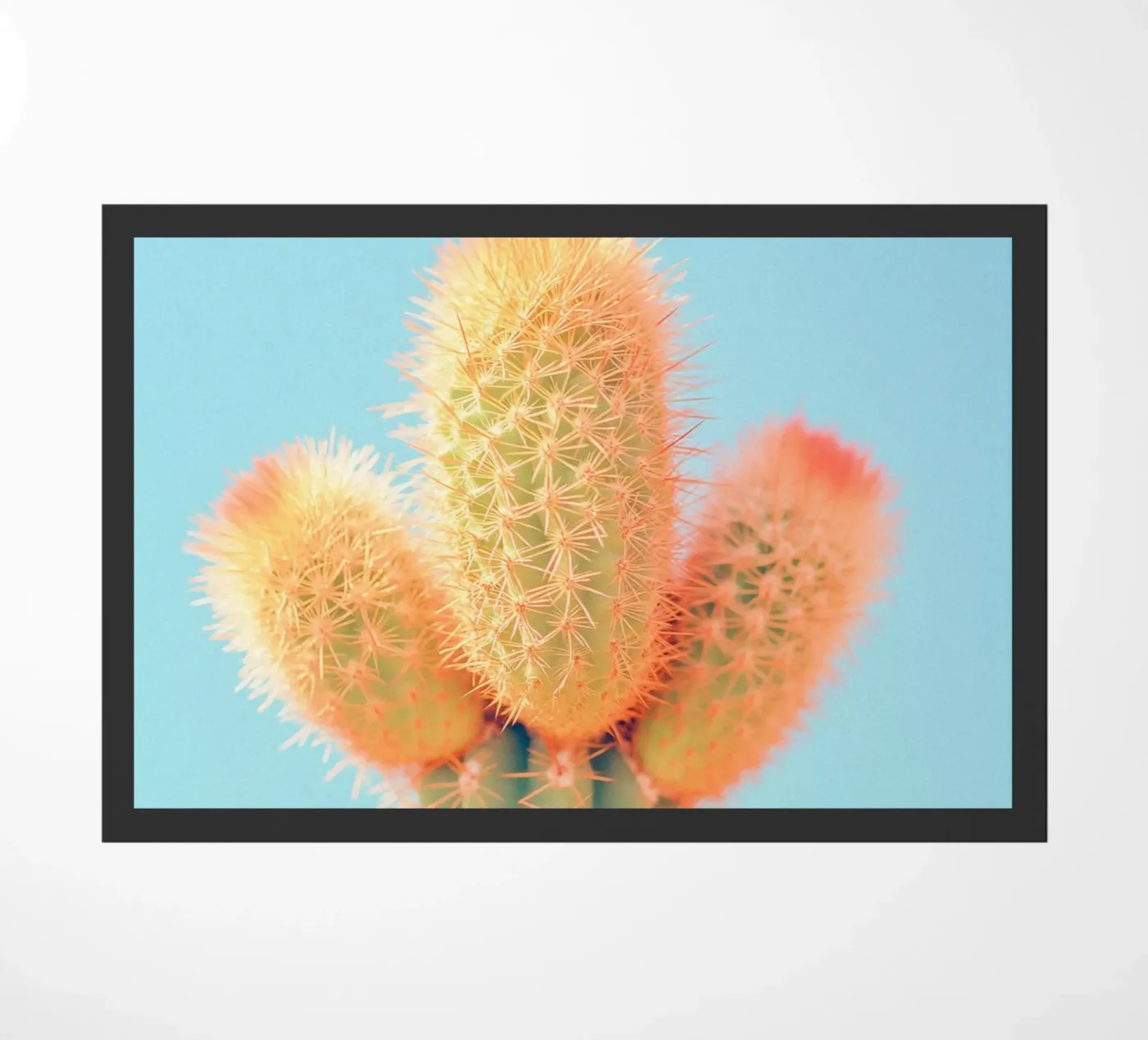 69 deurmat van Pink California | Affiches & Posters