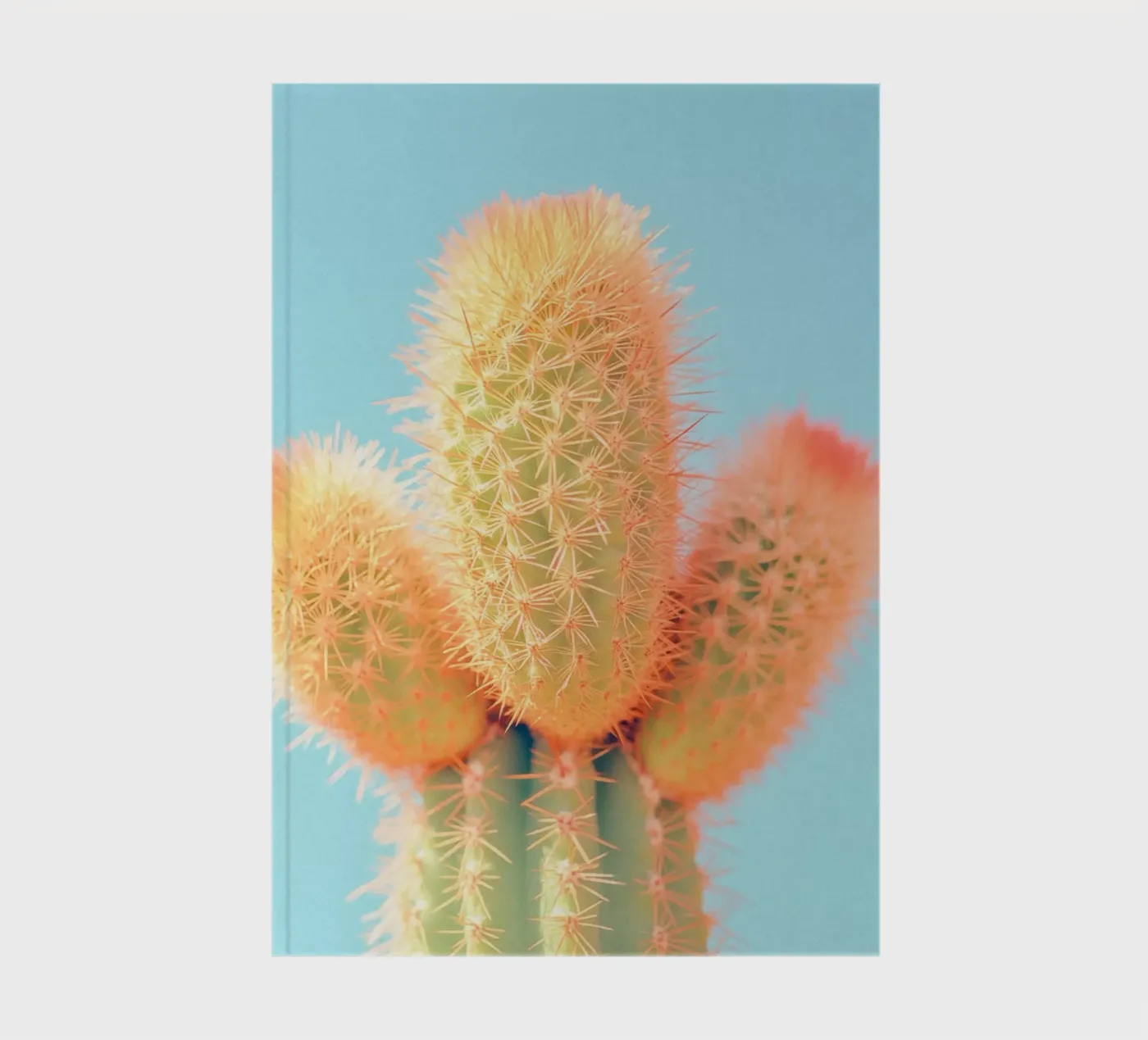 69 notebook by Pink California | Affiches & Posters