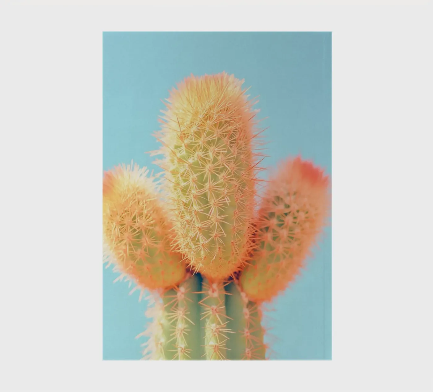 69 notebook by Pink California | Affiches & Posters