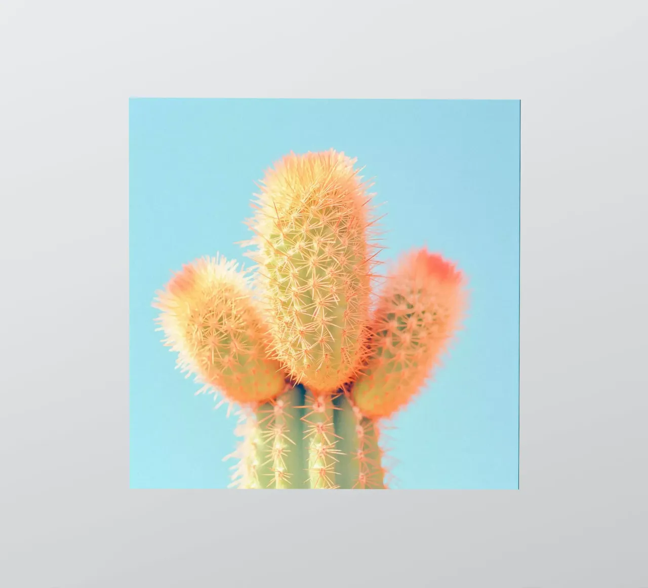 69 sticker van Pink California | Affiches & Posters