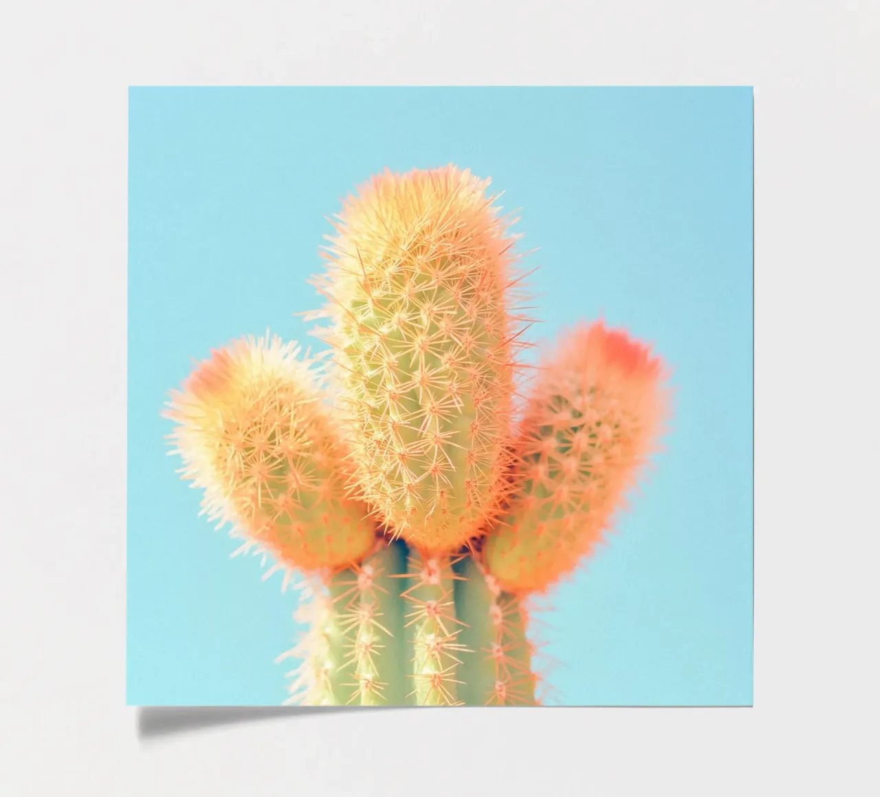 69 foglio adesivo da Pink California | Affiches & Posters