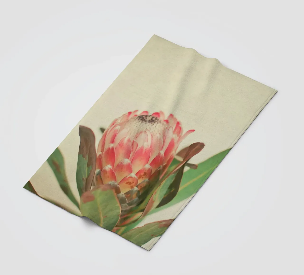 Rosa Eis Fleecedecke von Cassia Beck Photography