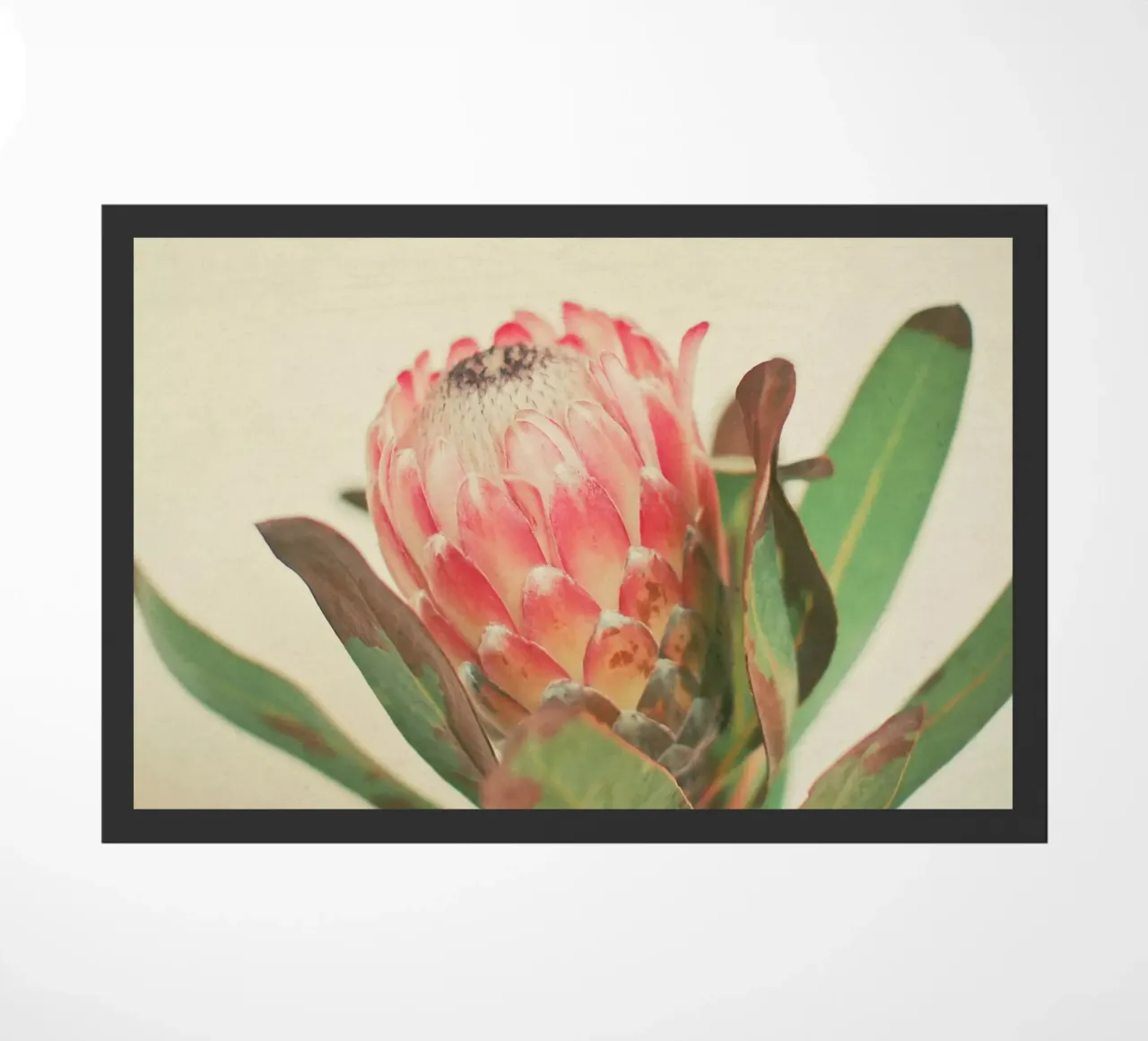 Rosa Eis Fußmatte von Cassia Beck Photography