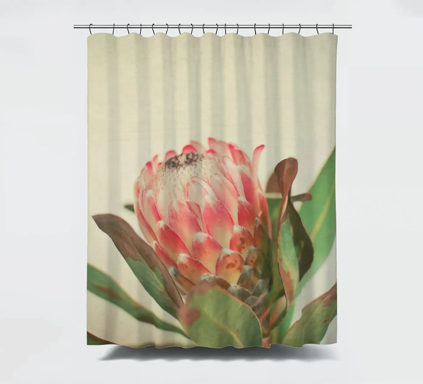 Rosa Eis Duschvorhang von Cassia Beck Photography