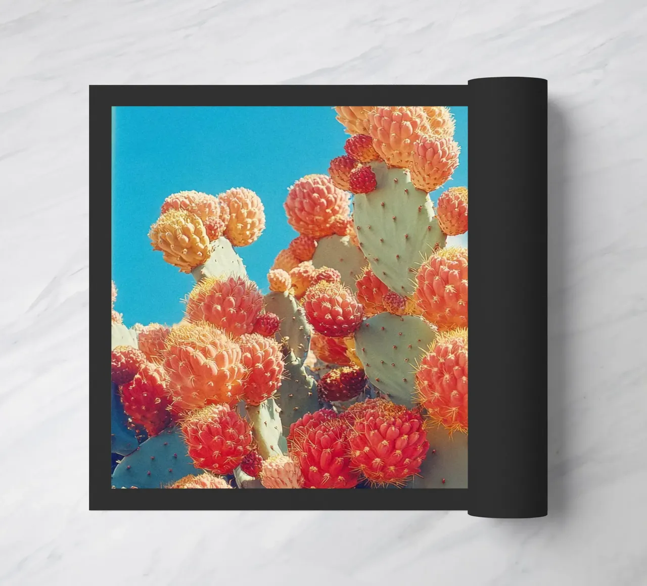 70 zerbino da Pink California | Affiches & Posters