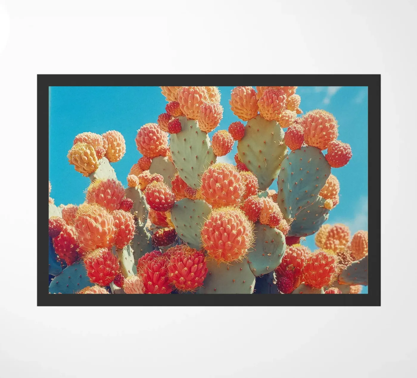 70 doormat by Pink California | Affiches & Posters