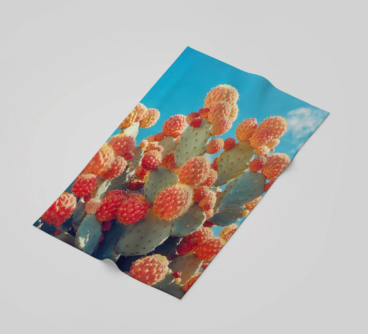 70 telo mare da Pink California | Affiches & Posters