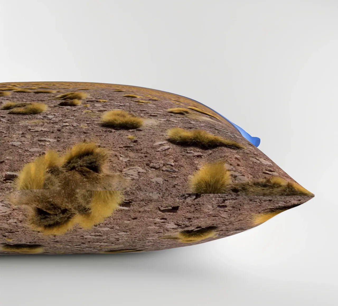 Paesaggio di Atacama cuscino da Dave Hare Photography