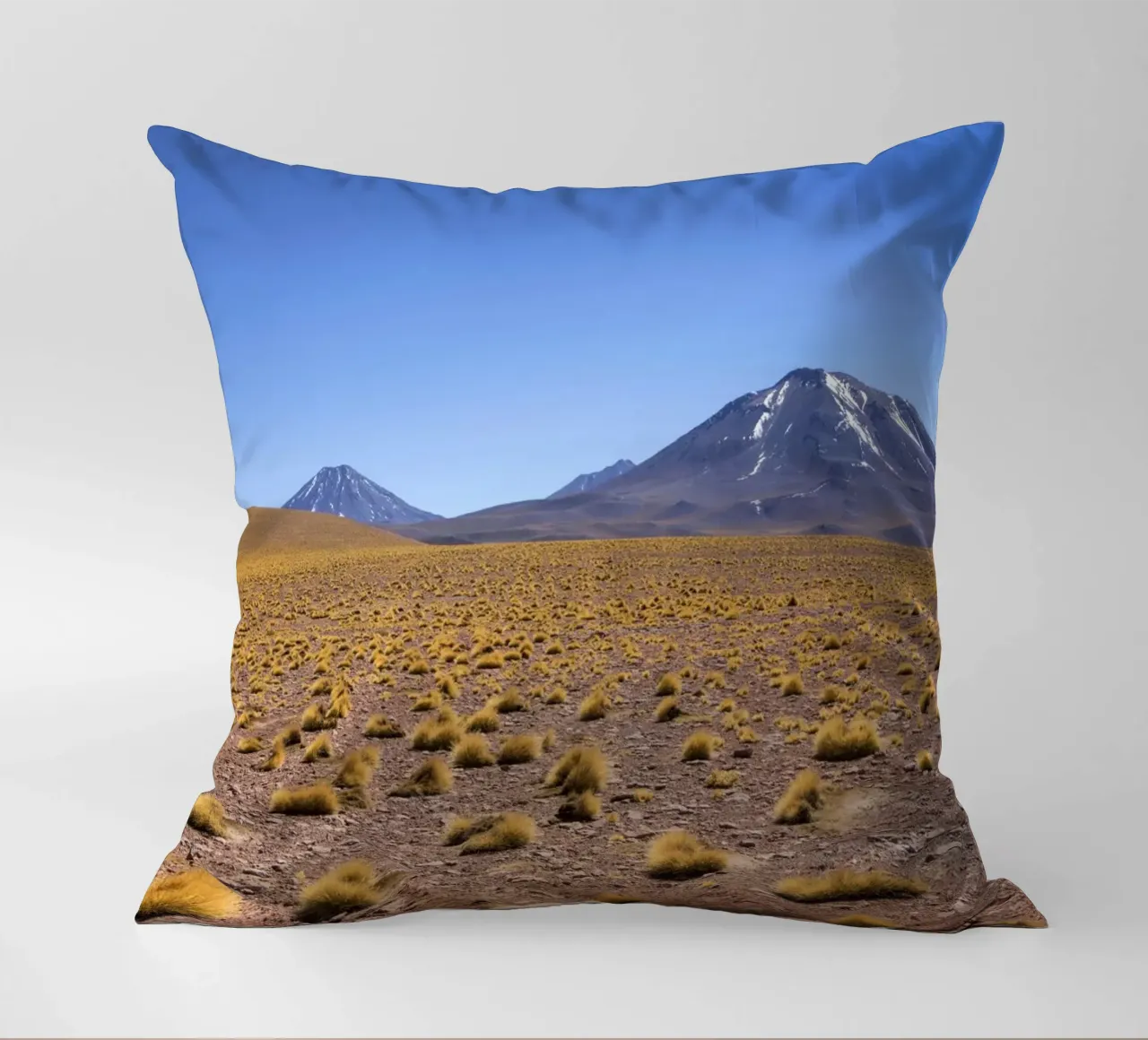 Paesaggio di Atacama cuscino da Dave Hare Photography