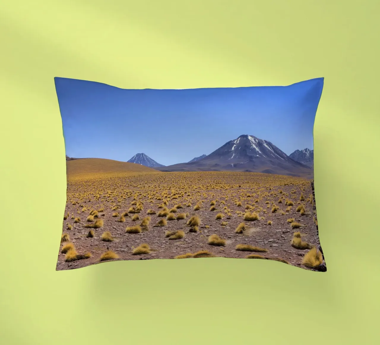 Paesaggio di Atacama cuscino da Dave Hare Photography