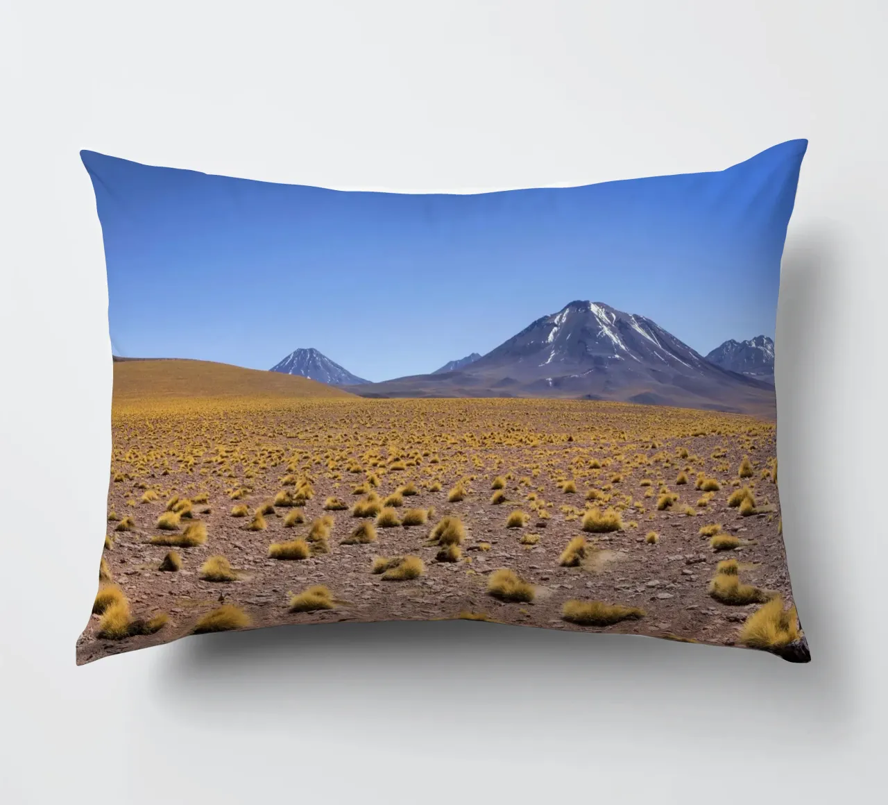 Paesaggio di Atacama cuscino da Dave Hare Photography