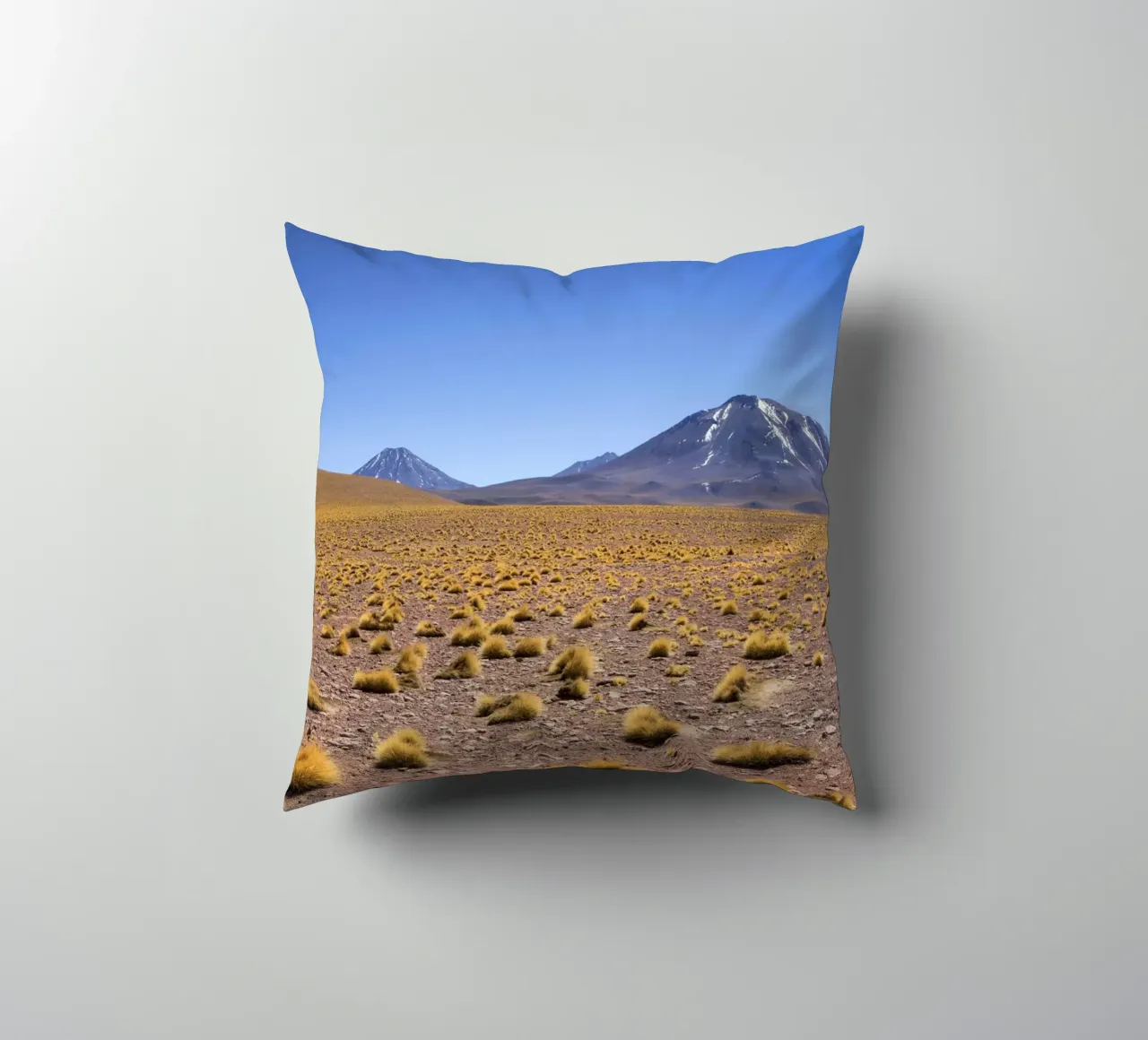 Paesaggio di Atacama cuscino da Dave Hare Photography