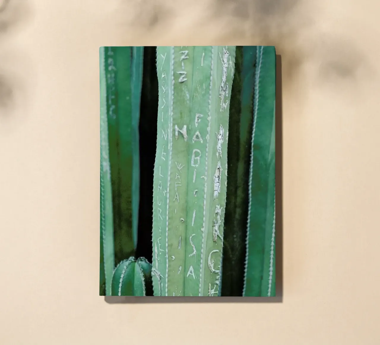 Marrakesh Paradise 5 notebook by Paul Aidan Perry