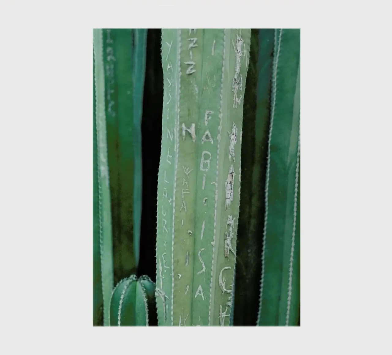 Marrakesh Paradise 5 notebook by Paul Aidan Perry