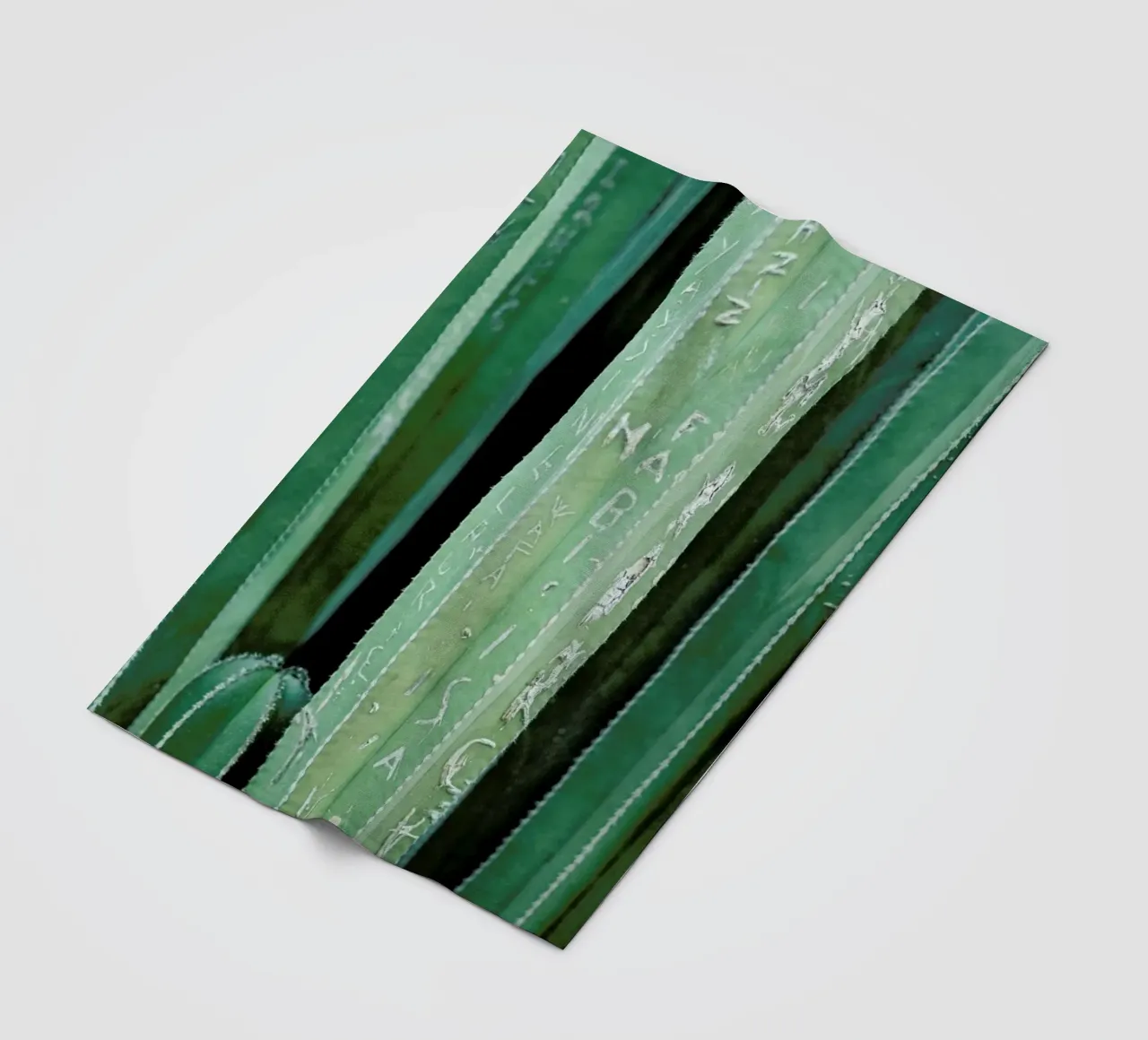 Marrakesh Paradise 5 coperta in pile da Paul Aidan Perry