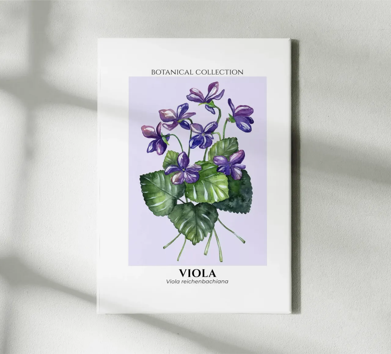 Violets - Botanical Collection in Watercolor tela da Espinacco Design
