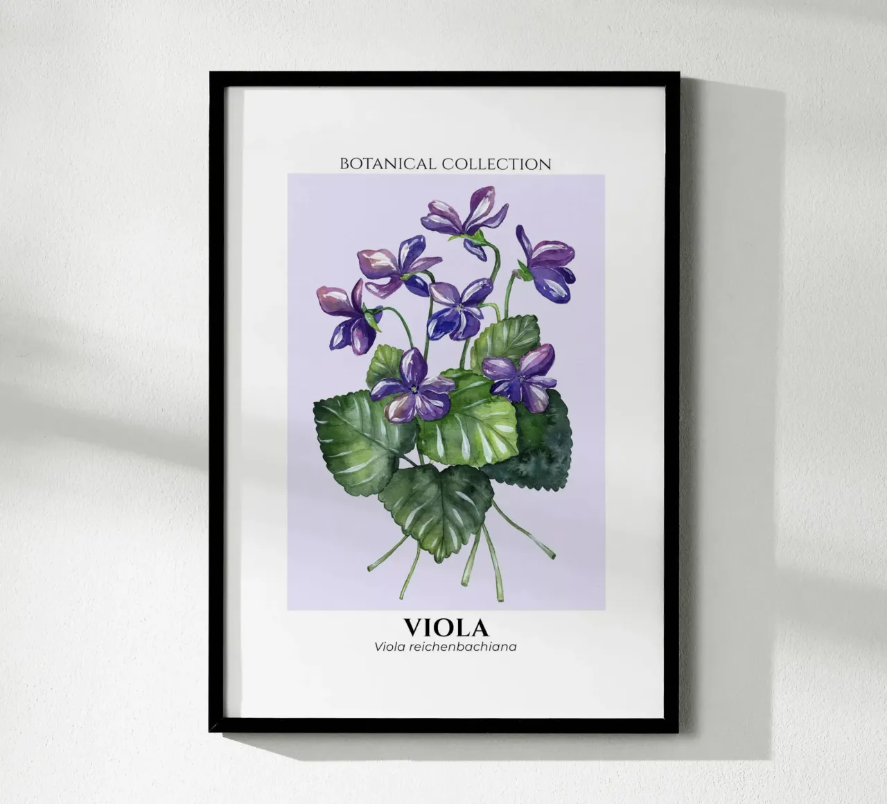 Violets - Botanical Collection in Watercolor carta hahnemühle da Espinacco Design