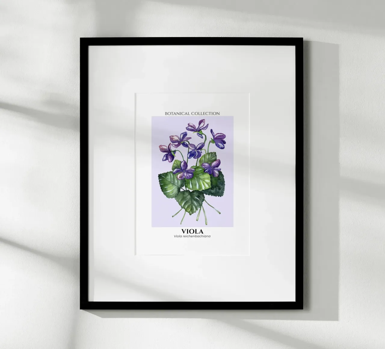 Violets - Botanical Collection in Watercolor carta hahnemühle da Espinacco Design