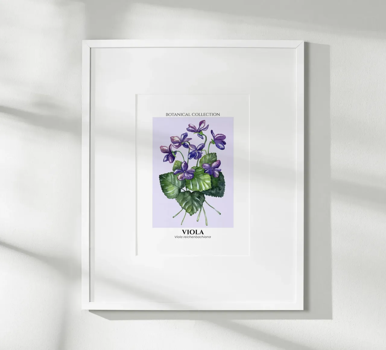 Violets - Botanical Collection in Watercolor carta hahnemühle da Espinacco Design