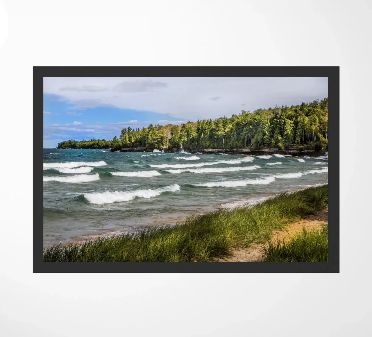 Au Train Bay zerbino da Dave Hare Photography