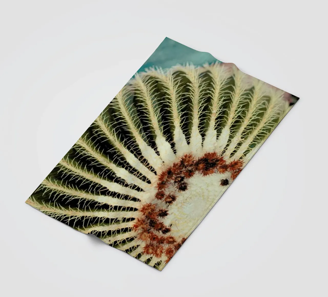 Marrakesh Paradise 6 coperta in pile da Paul Aidan Perry