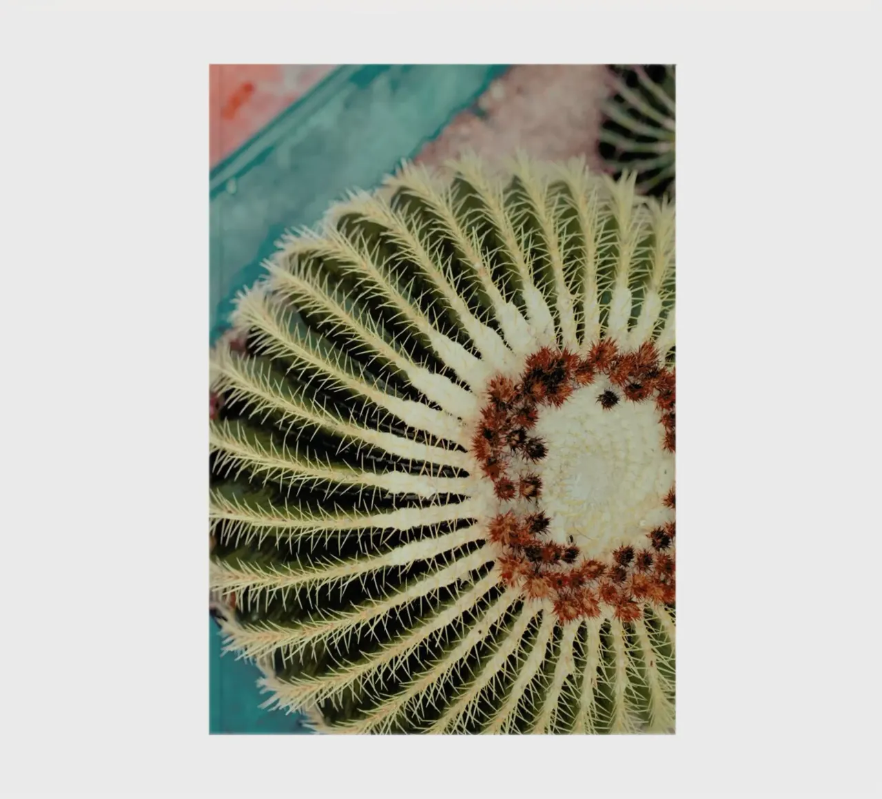 Marrakesh Paradise 6 notebook by Paul Aidan Perry