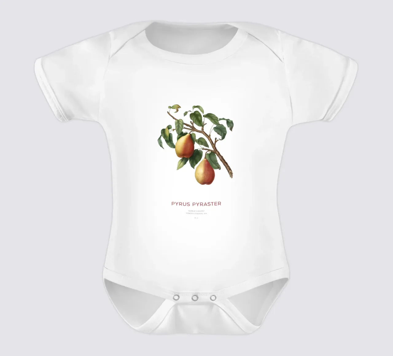 Wilde peer of Pyrus Pyraster babyrompertje korte mouwen van Vintagrafica