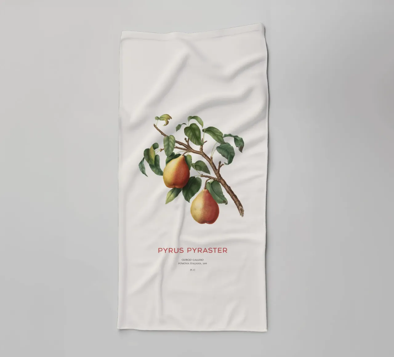 Wilde peer of Pyrus Pyraster badhanddoek van Vintagrafica