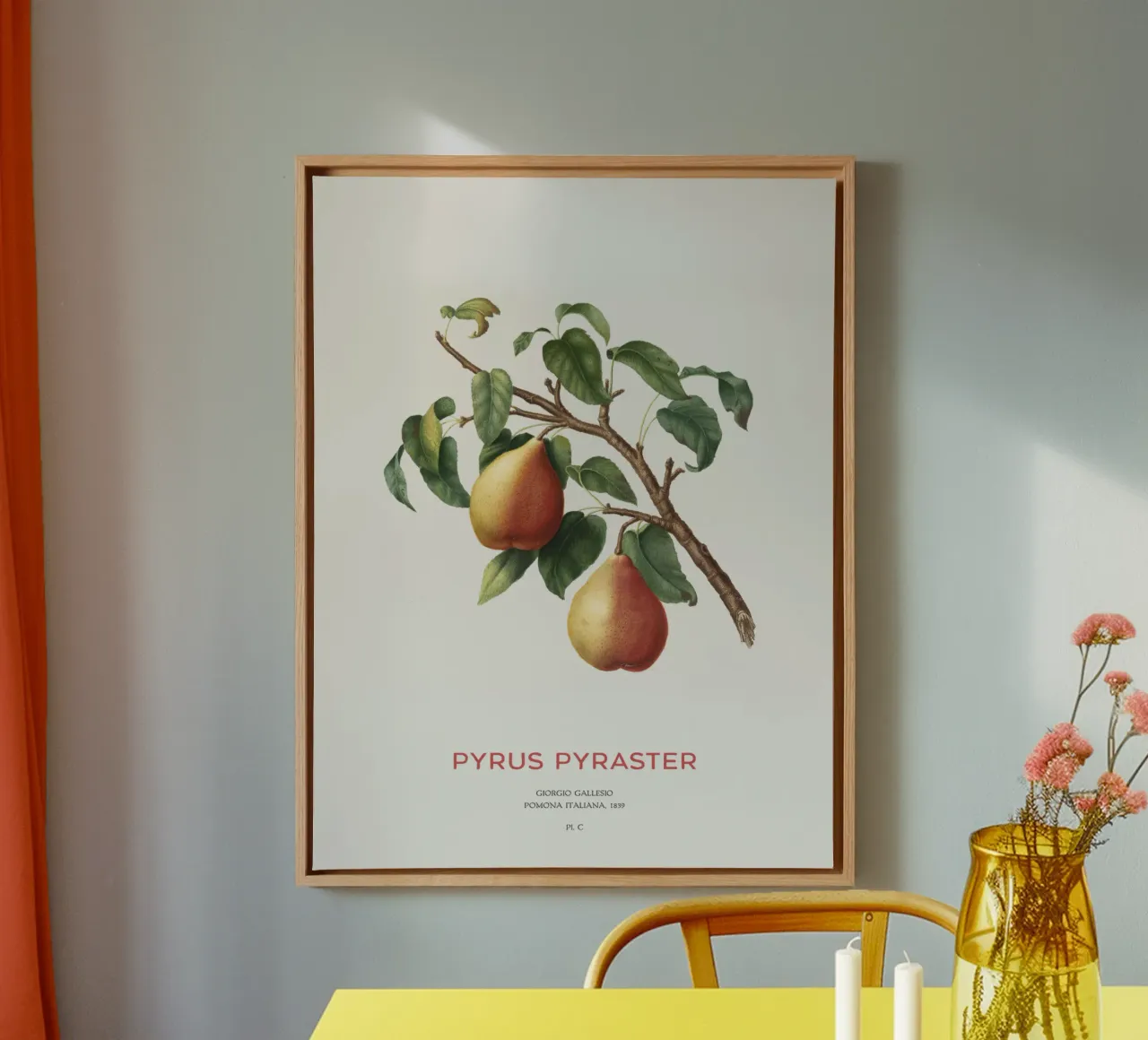 Wilde peer of Pyrus Pyraster canvas van Vintagrafica