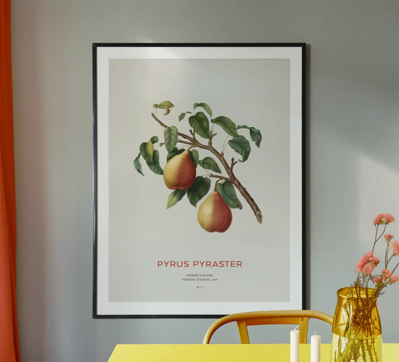 Wilde peer of Pyrus Pyraster hahnemühle van Vintagrafica