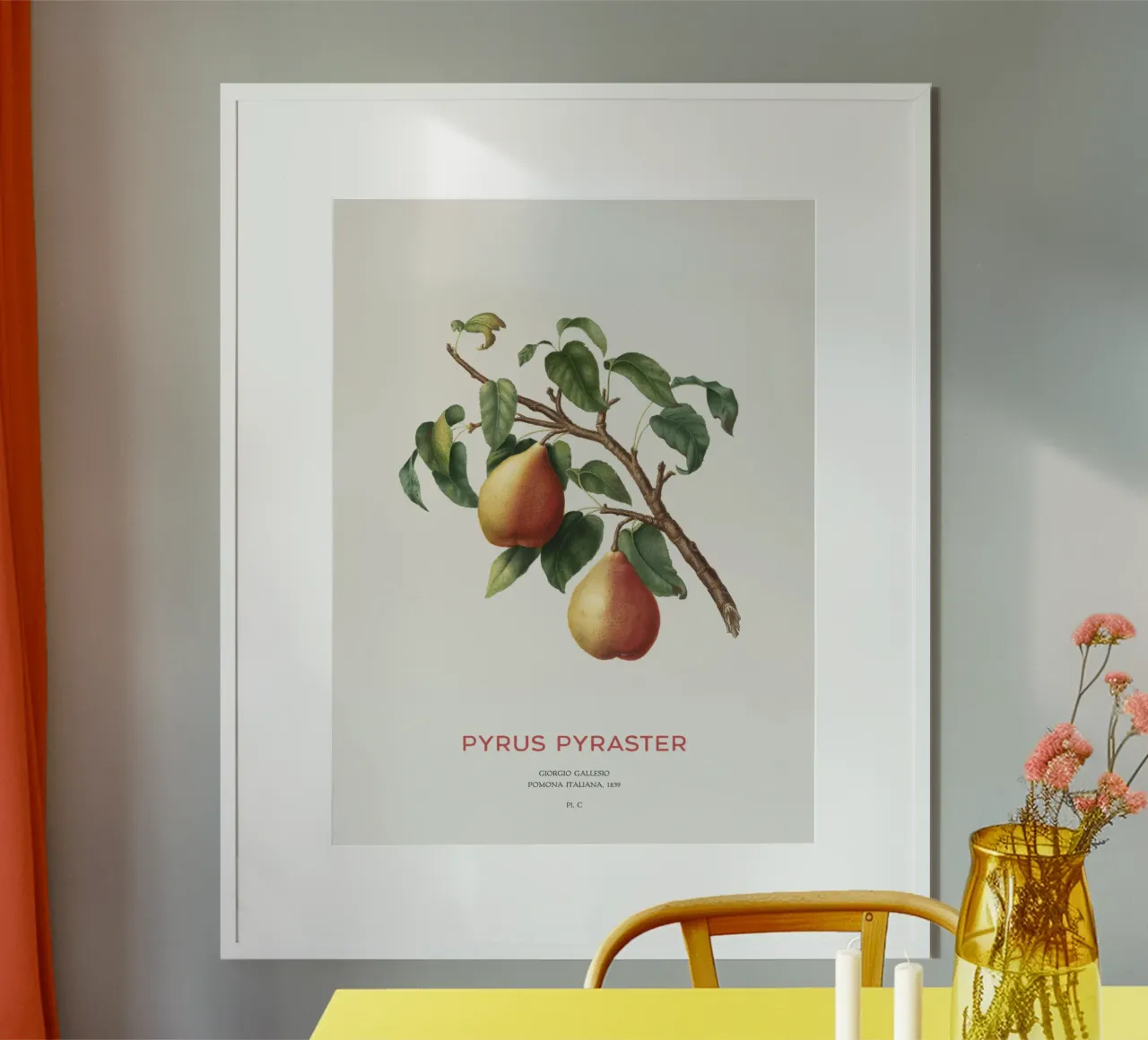 Wilde peer of Pyrus Pyraster hahnemühle van Vintagrafica