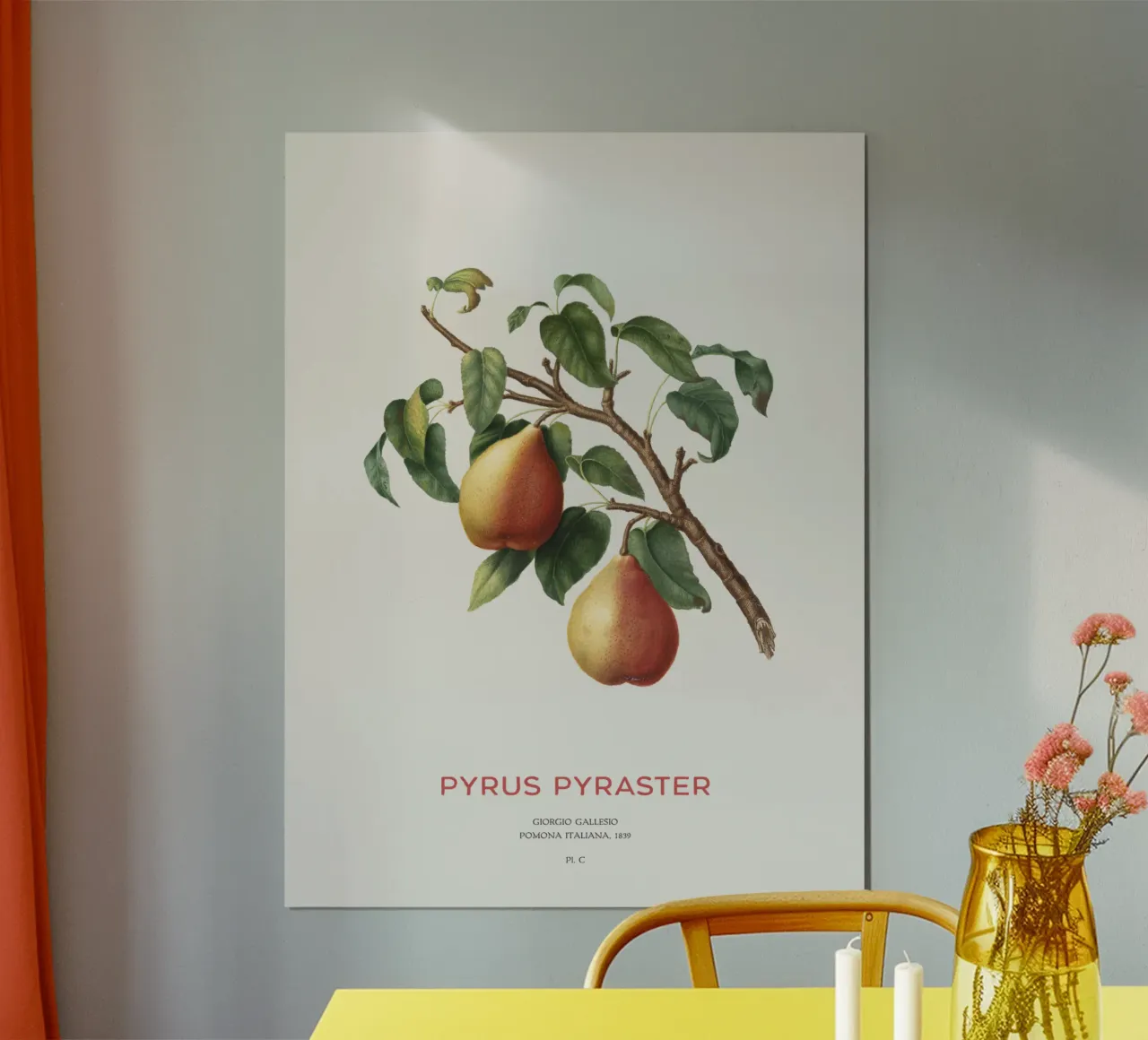 Wilde peer of Pyrus Pyraster hahnemühle van Vintagrafica