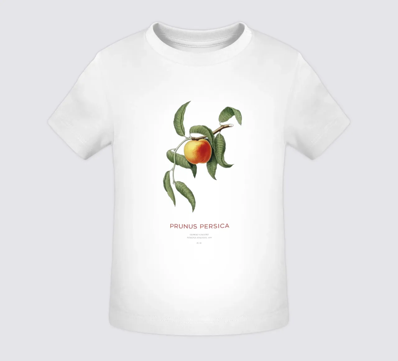 Peach or Prunus Persica baby t-shirt by Vintagrafica