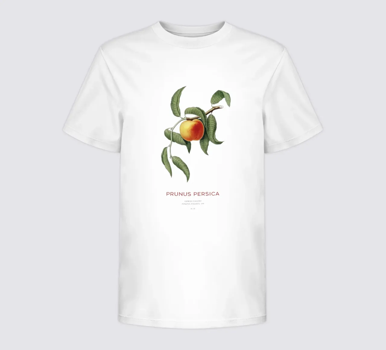 Pfirsich oder Prunus Persica Kinder T-Shirt von Vintagrafica