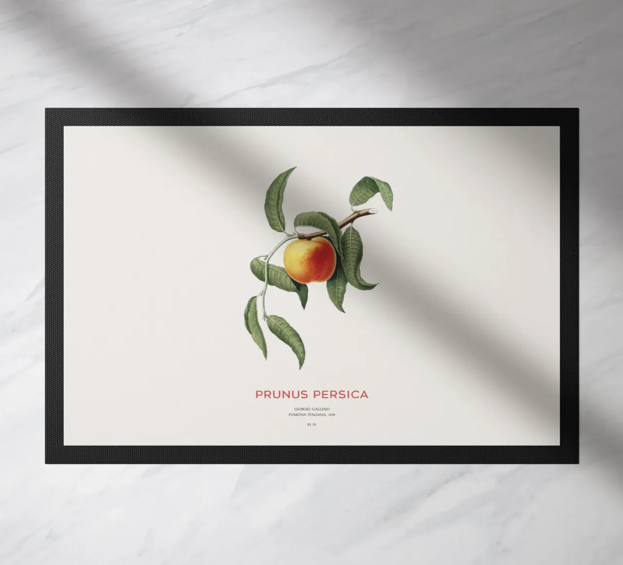 Pfirsich oder Prunus Persica Fußmatte von Vintagrafica