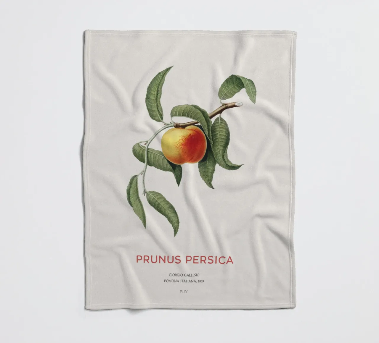 Pfirsich oder Prunus Persica Fleecedecke von Vintagrafica