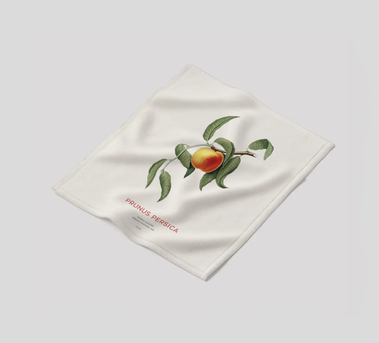 Pfirsich oder Prunus Persica Fleecedecke von Vintagrafica